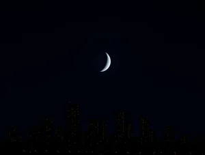 Лунный календарь