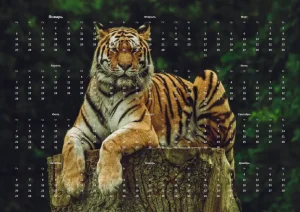 Календарная сетка в png с настройками