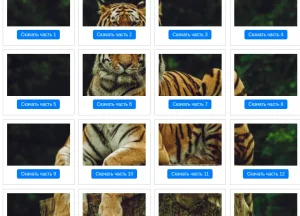 Фото сплиттер - разрезка фото на части