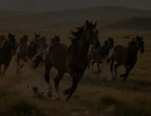 Затемнить фото